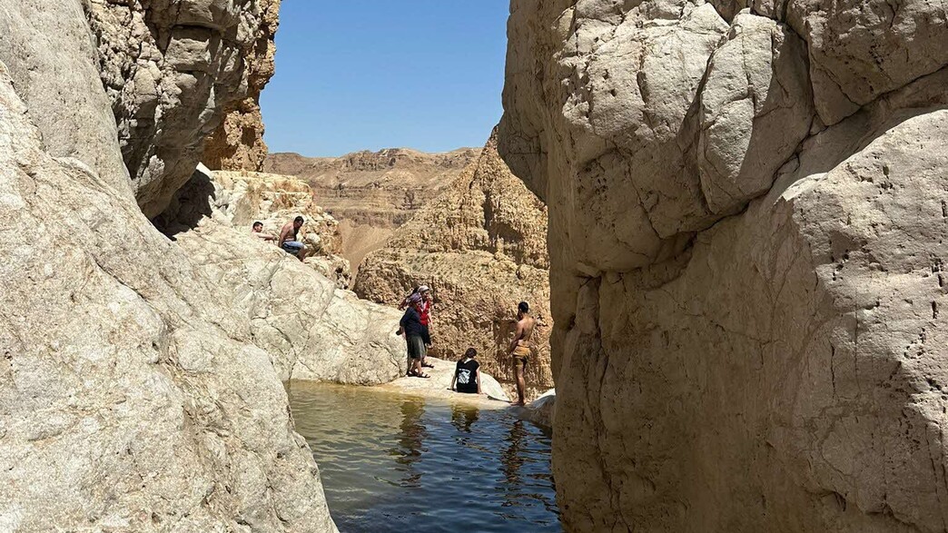 המדבר מתמלא: גבים בנחל צאלים ותצפיות על ים המלח