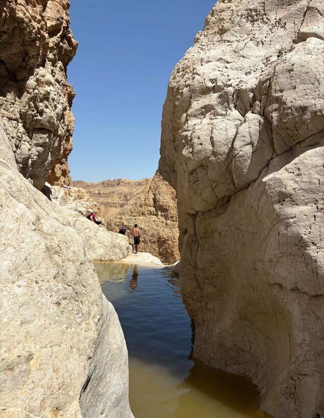 בריכה בריכת צפירה 