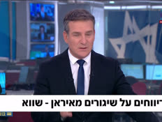 upanel_vtr2_n20260508_v1 (צילום: חדשות)