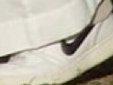 AVISHAI_POPEZNIKES_0805 (וידאו AVI: חדשות)