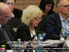 20storm_vtr2_n20260510_v1 (צילום: חדשות)