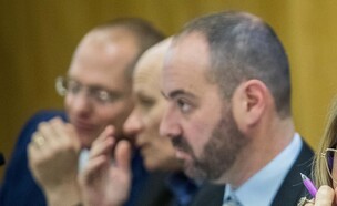 דין ליבנה (צילום: יונתן זינדל, פלאש 90)