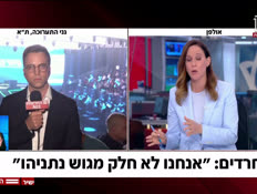 20elione_vtr2_n20260512_v1 (צילום: חדשות)