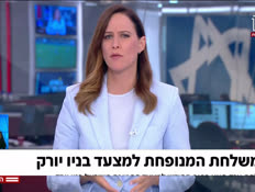 20newyorkdafna_vtr2_n20260512_v1 (צילום: חדשות)