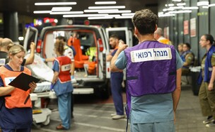 דר חשביה (צילום: ג'ני ירושלמי איכילוב)