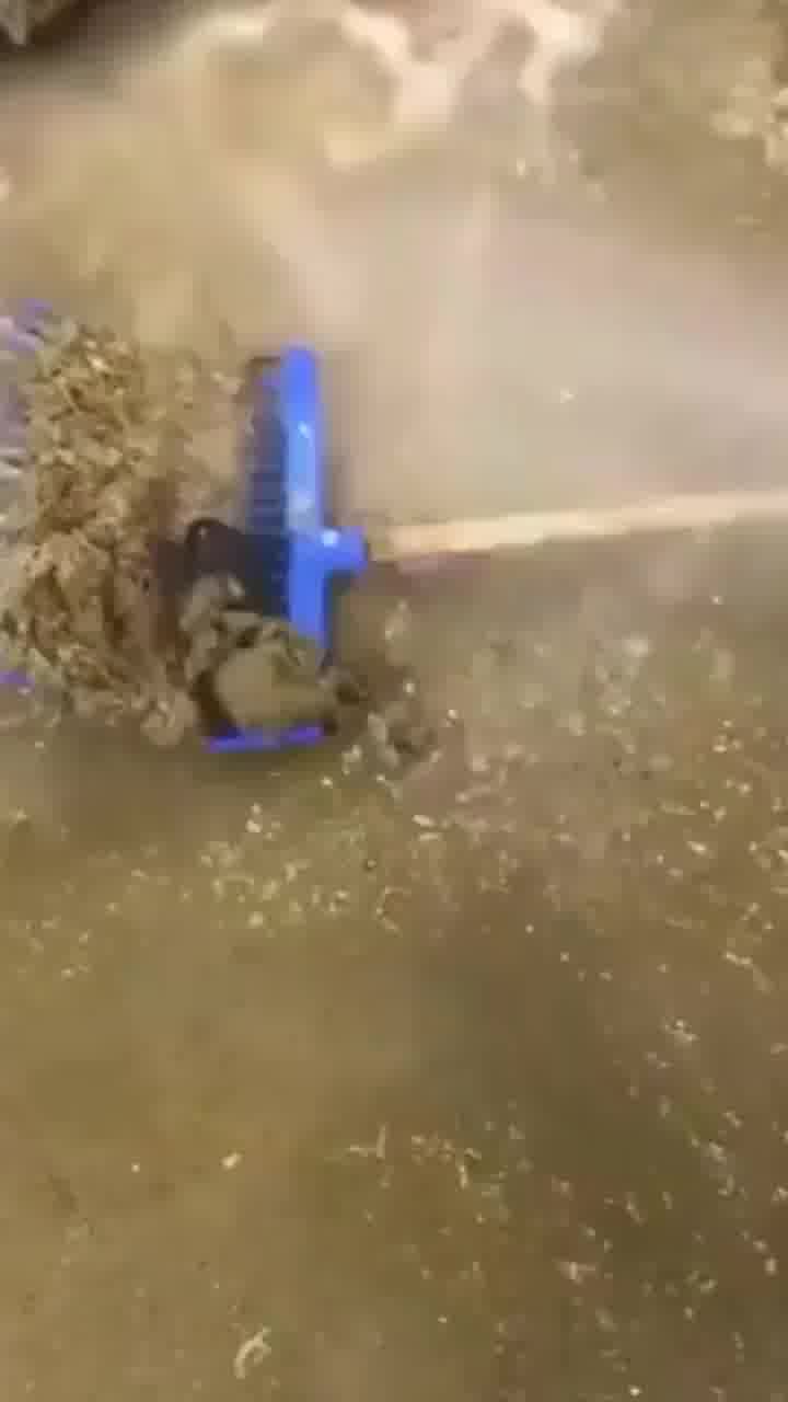 כשהיקום מסמן לך שהגיע הזה להחליף טלפון נייד