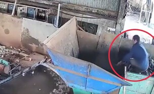 וייטנאם (צילום: מתוך הרשתות החברתיות לפי סעיף 27א׳ לחוק זכויות יוצרים)