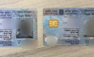 תעודת מזויפות  (צילום: דוברות המשטרה)