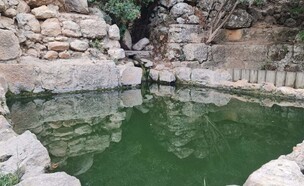 שביל המעיינות (צילום: בלה נודלמן, ארכיון הצילומים של קק"ל)