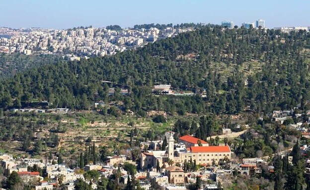 צופי הדסה