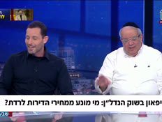 19apartment_vtr2_n20260513_v1 (צילום: חדשות)