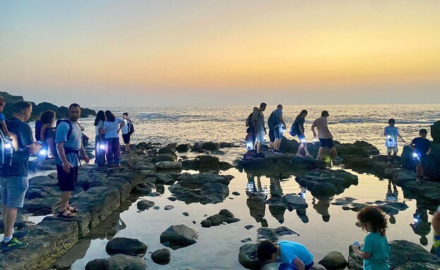 עששיות חוף דור נחשולים עששיות חוף דור נחשולים
