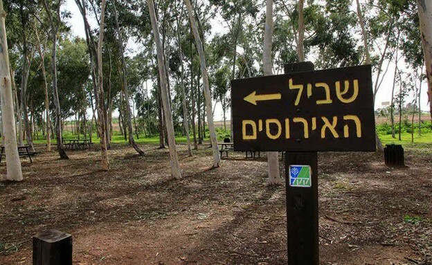 שביל האירוסים