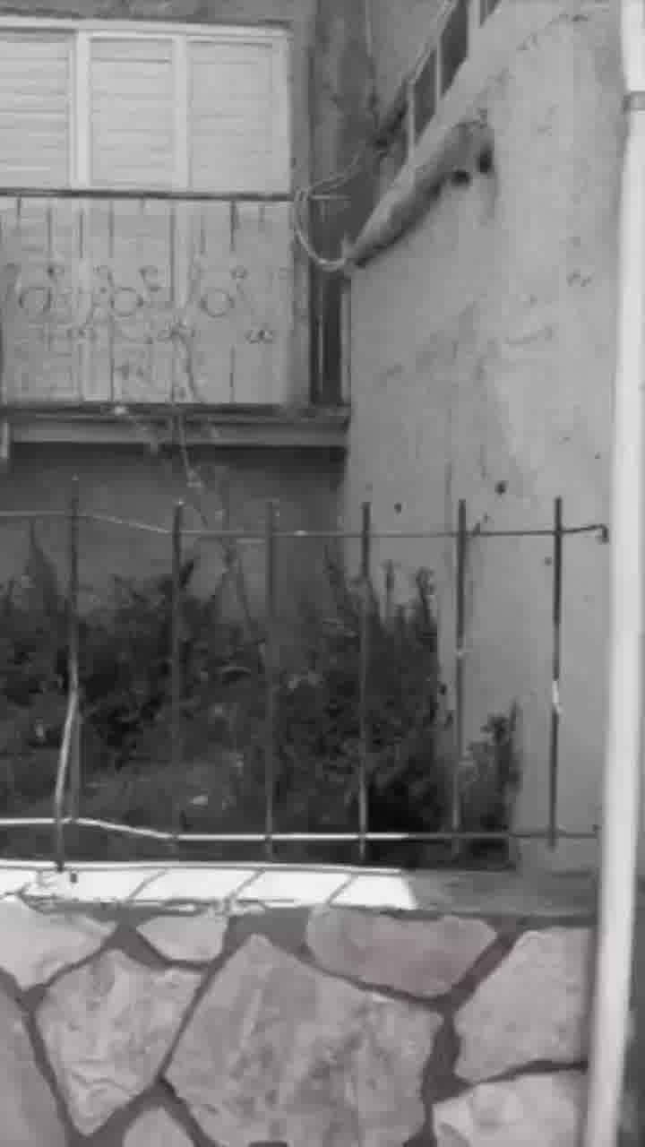 "עד הגמר או עד המאסר": בת חן סבג חושפת את עידן אטיאס שירקוד איתה על הרחבה של "רוקדים עם כוכבים"