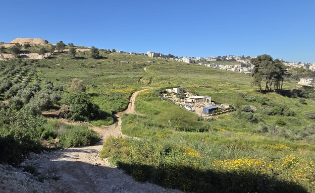 באתר עין אמת אבל, טריטונים באתר עין אמת אבל, טריטונים