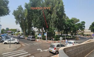 זירת התאונה (צילום: פרטי)