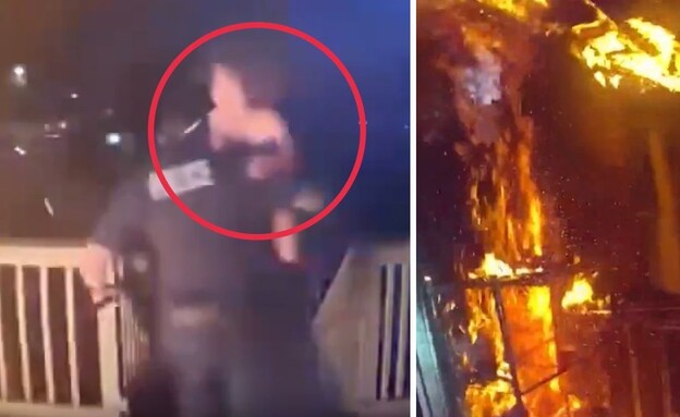 מרלו (צילום: מתוך הרשתות החברתיות בהתאם לסעיף 27א' בחוק)