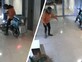 לאחר שהחריב לובי בניין בפתח תקווה: המעשה הלא צפוי של שליח וולט