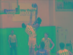 sportFive1719146 (צילום: ספורט 5)
