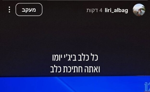 לירי אלבג על ניסיון החיסול הממוקד בעזה לירי אלבג על ניסיון החיסול הממוקד בעזה