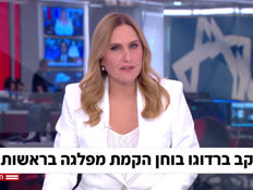 20bardugo_vtr2_n20260514_v1 (צילום: חדשות)