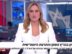 20leegofman_vtr2_n20260514_v1 (צילום: חדשות)