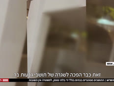 20south_vtr2_n20260514_v1 (צילום: חדשות)
