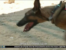 u20oketzuko_vtr2_n20260515_v1 (צילום: חדשות)