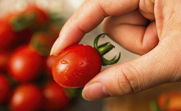 Copy of עגבניות (צילום: shutterstock_InkheartX)