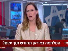 20goffman_vtr2_n20260518_v1 (צילום: חדשות)