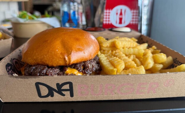 DNA אילת. אילת 2026 DNA אילת. אילת 2026