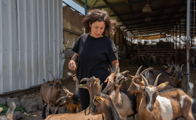 שירי ברוך שירי ברוך