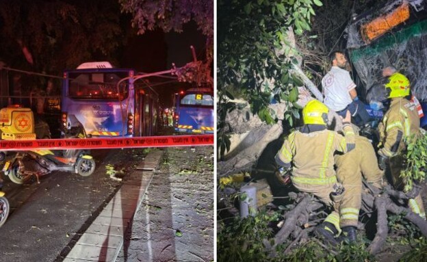הזירה בדיזנגוף (צילום: תיעוד מבצעי מד"א)