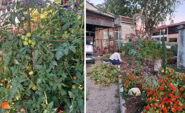 Copy(2) of השתלטה על גינה Copy(2) of השתלטה על גינה
