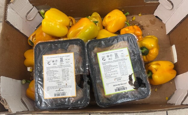 חולדות במזון בבסיס חיל הים בחיפה חולדות במזון בבסיס חיל הים בחיפה