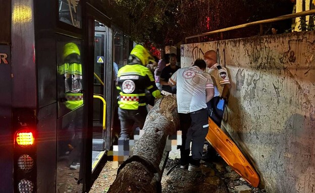 התאונה בדיזנגוף התאונה בדיזנגוף
