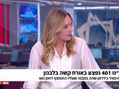 20nitzanmahat_vtr2_n20260520_v1 (צילום: חדשות)