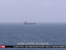 20sagie_vtr2_n20260521_v1 (צילום: חדשות)