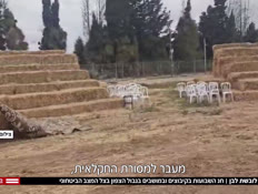 20white_vtr2_n20260521_v1 (צילום: חדשות)
