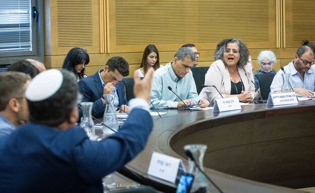 עאידה תומא-סלימאן בכנסת עאידה תומא-סלימאן בכנסת