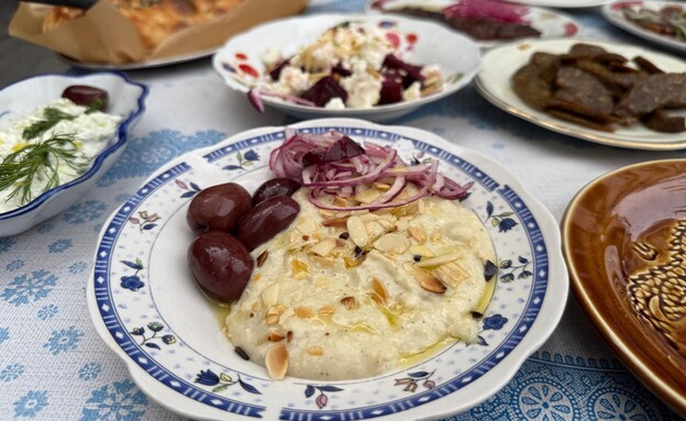 סקורדליה. קלמנס חיפה סקורדליה. קלמנס חיפה