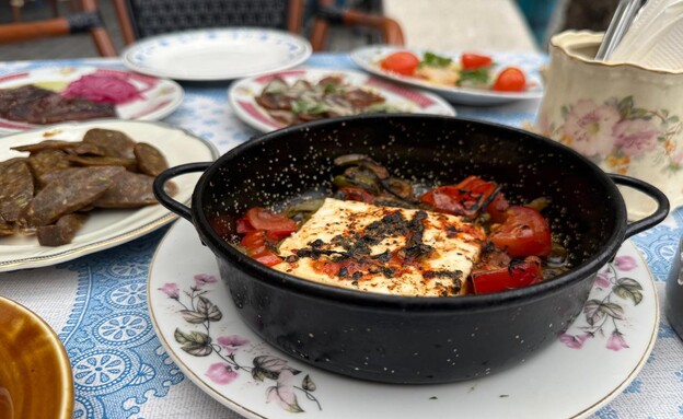 פטה עזים. קלמנס חיפה פטה עזים. קלמנס חיפה