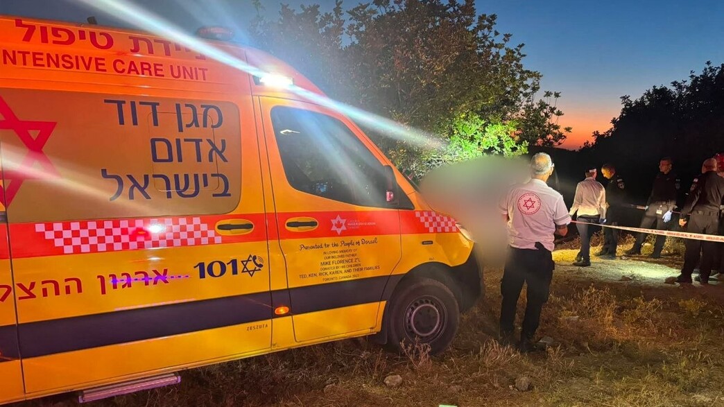 הזירה במשמר איילון