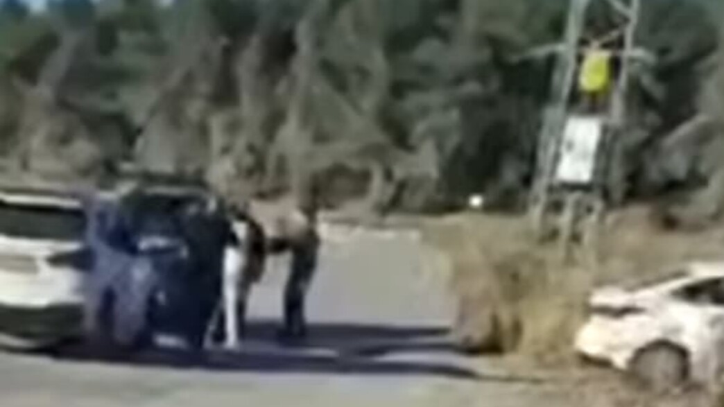שוד בזרזיר שוד בזרזיר