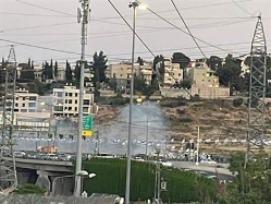 sportFive1722913 (צילום: ספורט 5)