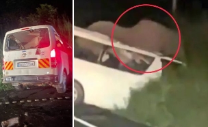 מיניבוס התנגש בפיל (צילום: מתוך הרשתות החברתיות לפי סעיף 27א׳ לחוק זכויות יוצרים)