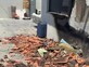 בקבוקי תבערה נזרקו על ביתו של איש עסקים בנתיבות: 