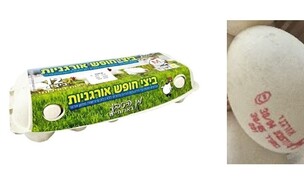 ביצים אורגניות בארותיים  (צילום: משרד הבריאות)