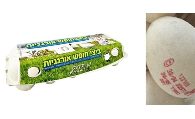 ביצים אורגניות בארותיים 