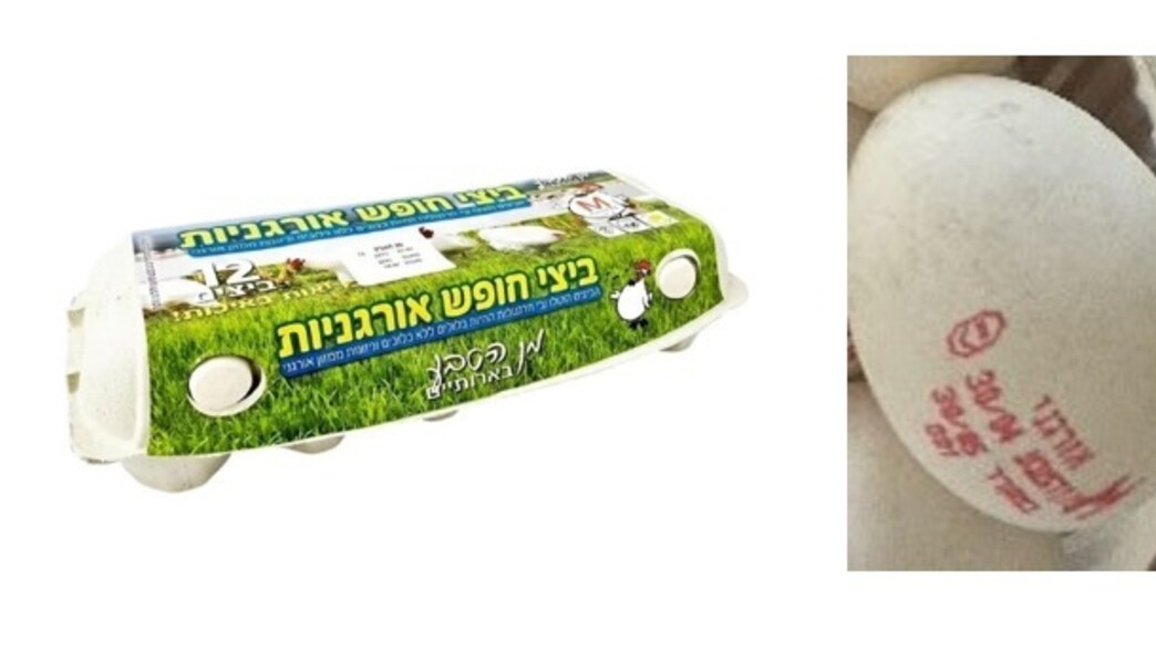 ביצים אורגניות בארותיים ביצים אורגניות בארותיים